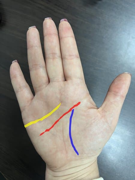 Palm line detection sample 1