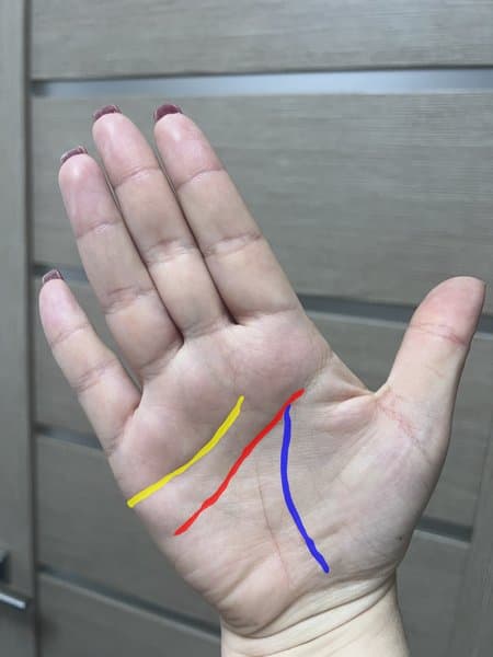 Palm line detection sample 2