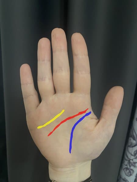 Palm line detection sample 3